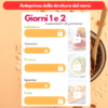 Anteprima della struttura dei menù proposti per le varie giornate di piano alimentare standard